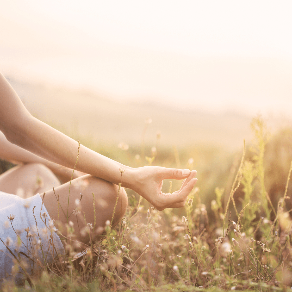 Person sitting with the hands visible in meditation in a field of wild flowers in warm light.